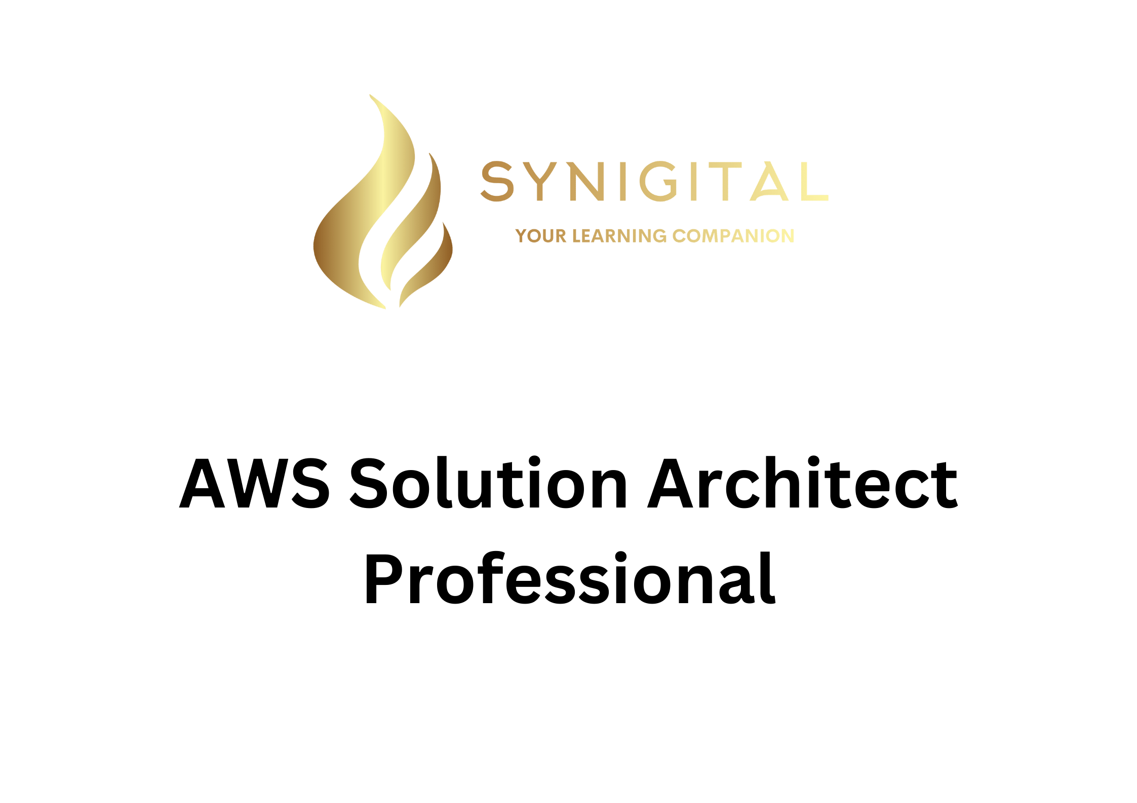 03062024105841-AWS Solution Architect Professional.png